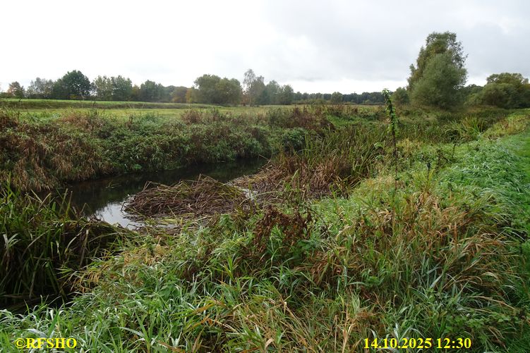 Marschstrecke, Ise Lübingshorst Wiesen