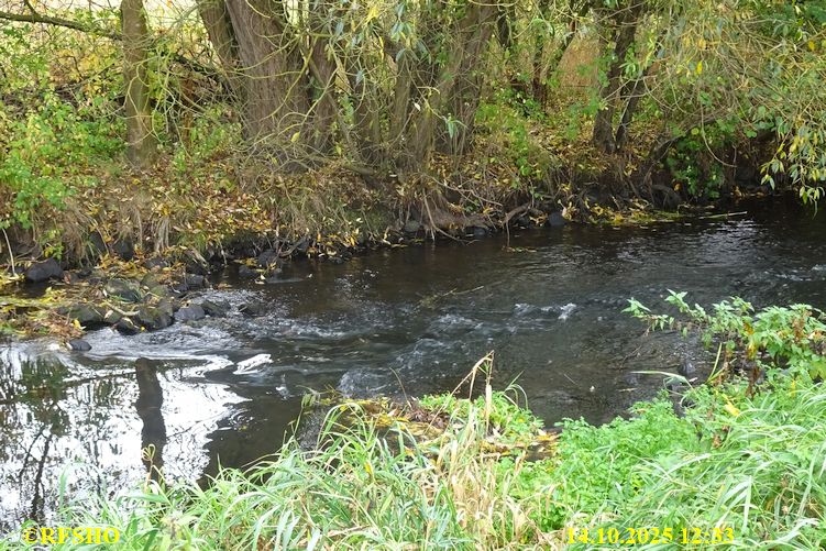 Marschstrecke, Ise Lübingshorst Wiesen
