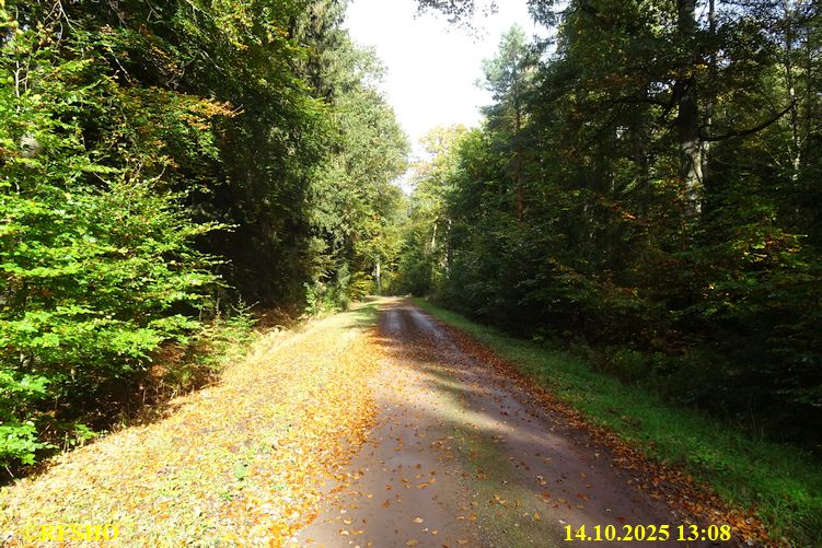 Marschstrecke, Großer Leu