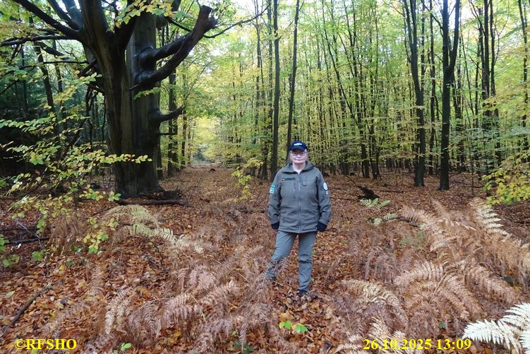 Marschstrecke  FA 2137