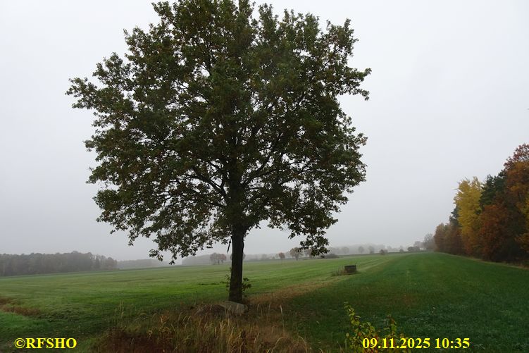 Marschstrecke, Preussagstraße