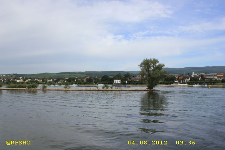 Rheinfähre nach Ingelheim